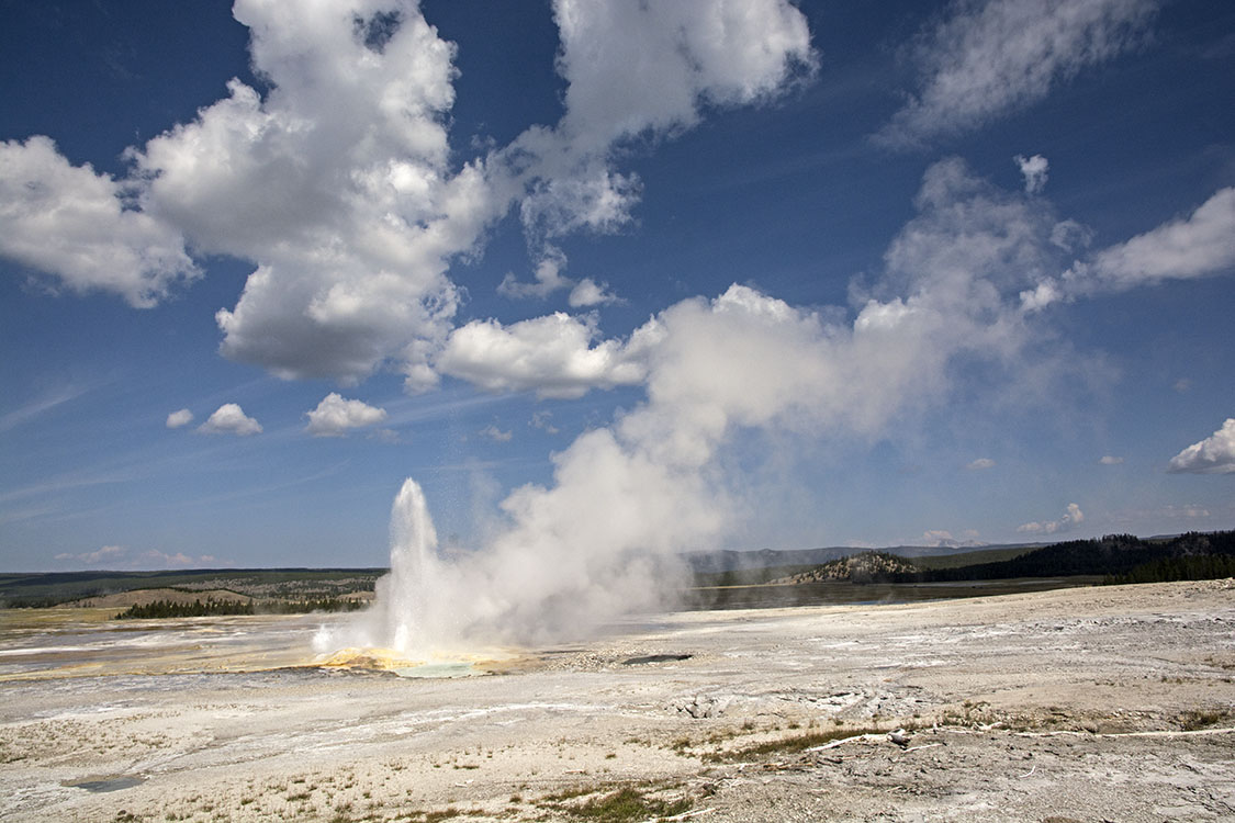 Yellowstone-land